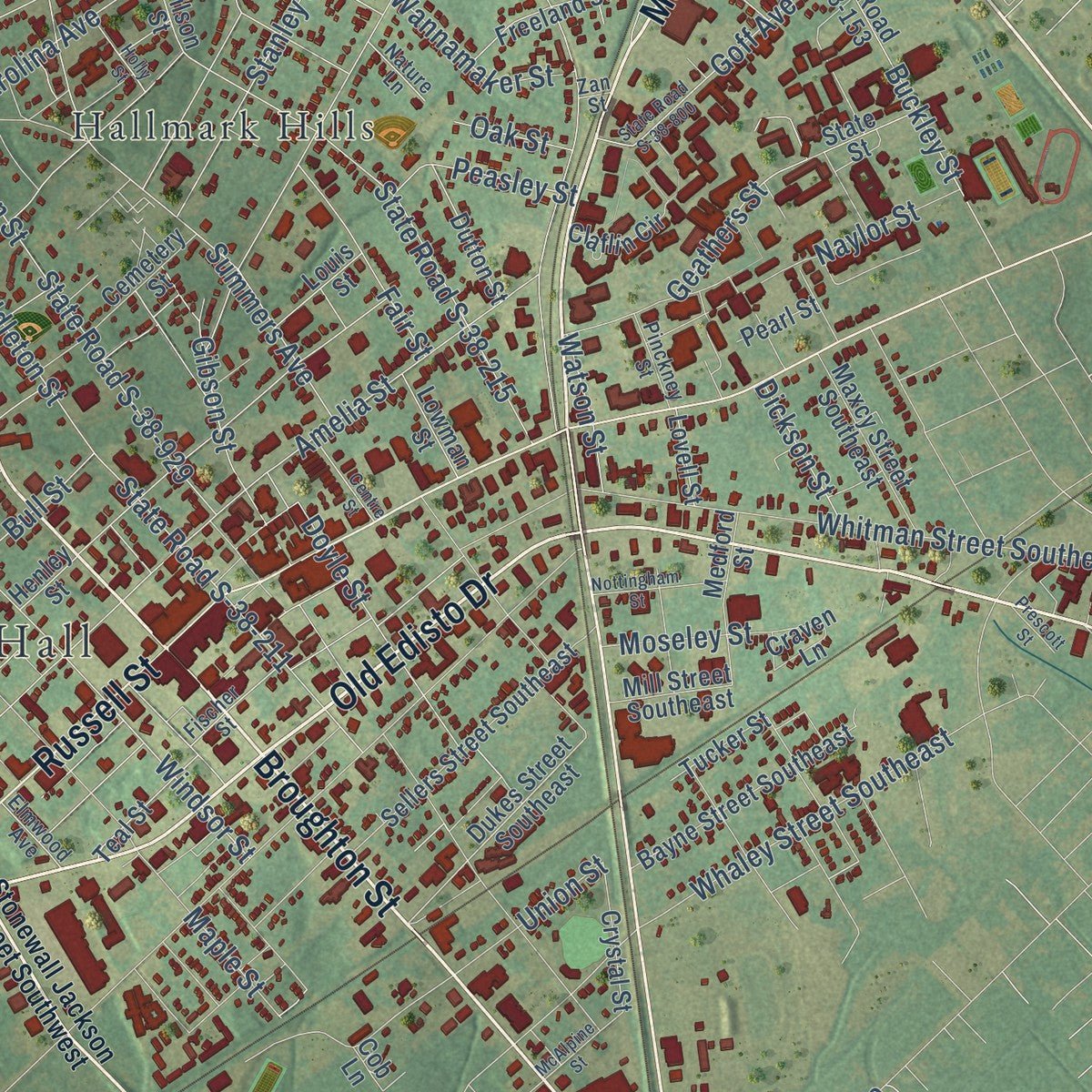 Close-up of the map of Orangeburg, South Carolina print showing street and building detail