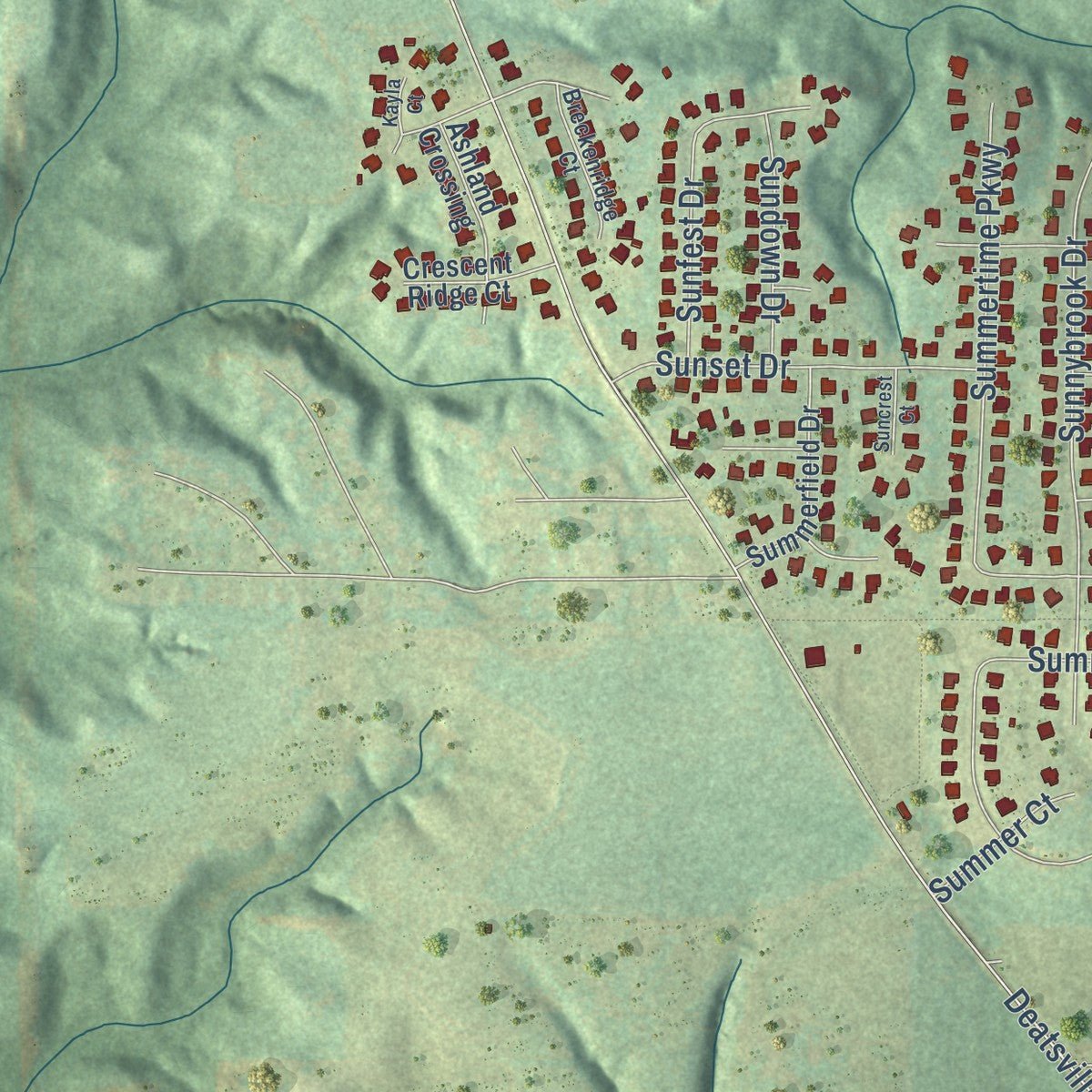 Close-up of the map of Deatsville, Alabama print showing street and building detail