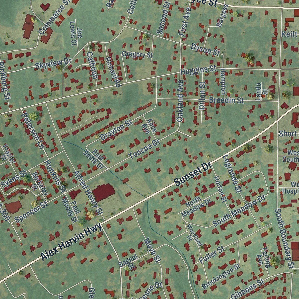 Close-up of the map of Manning, South Carolina print showing street and building detail