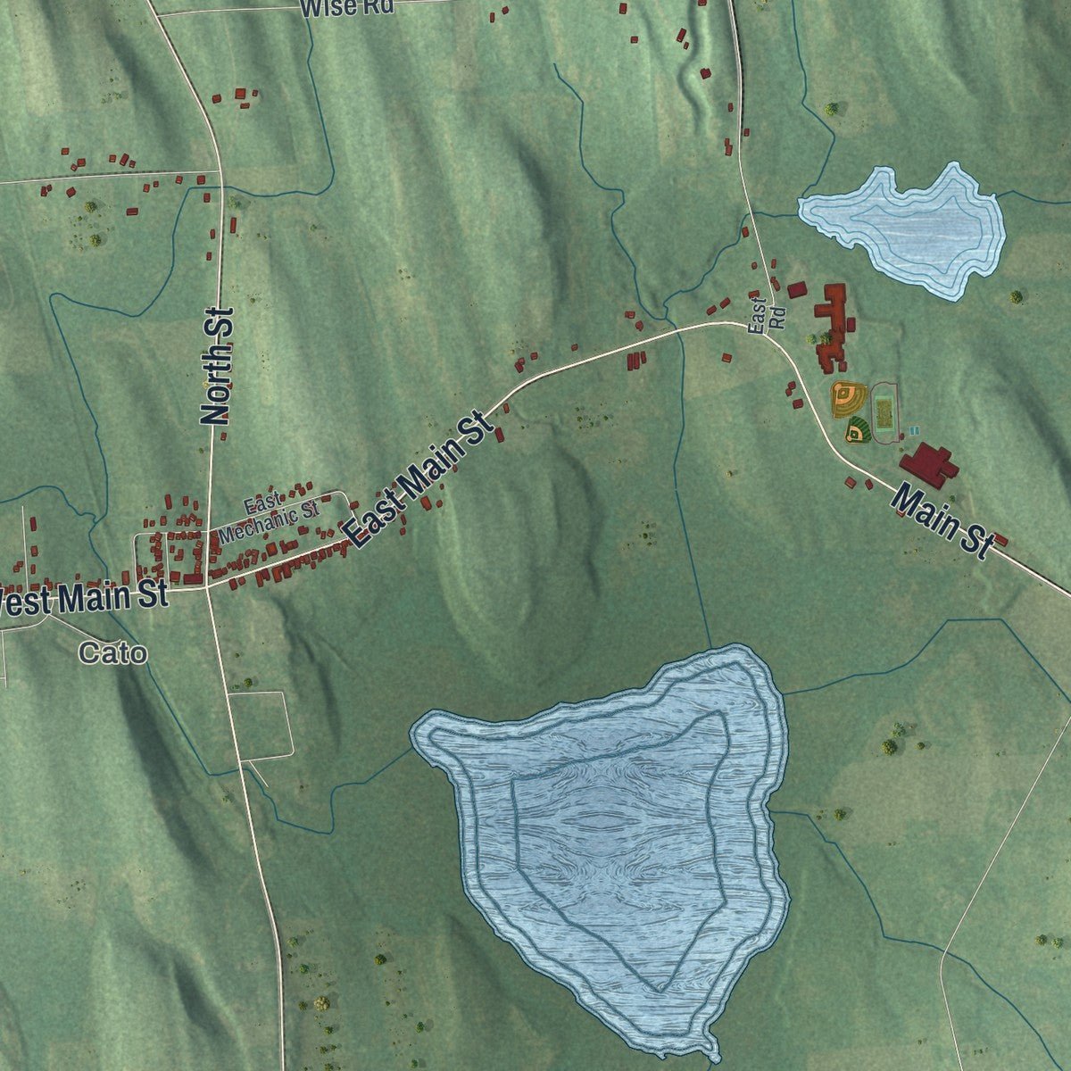 Close-up of the map of Ira, New York print showing street and building detail