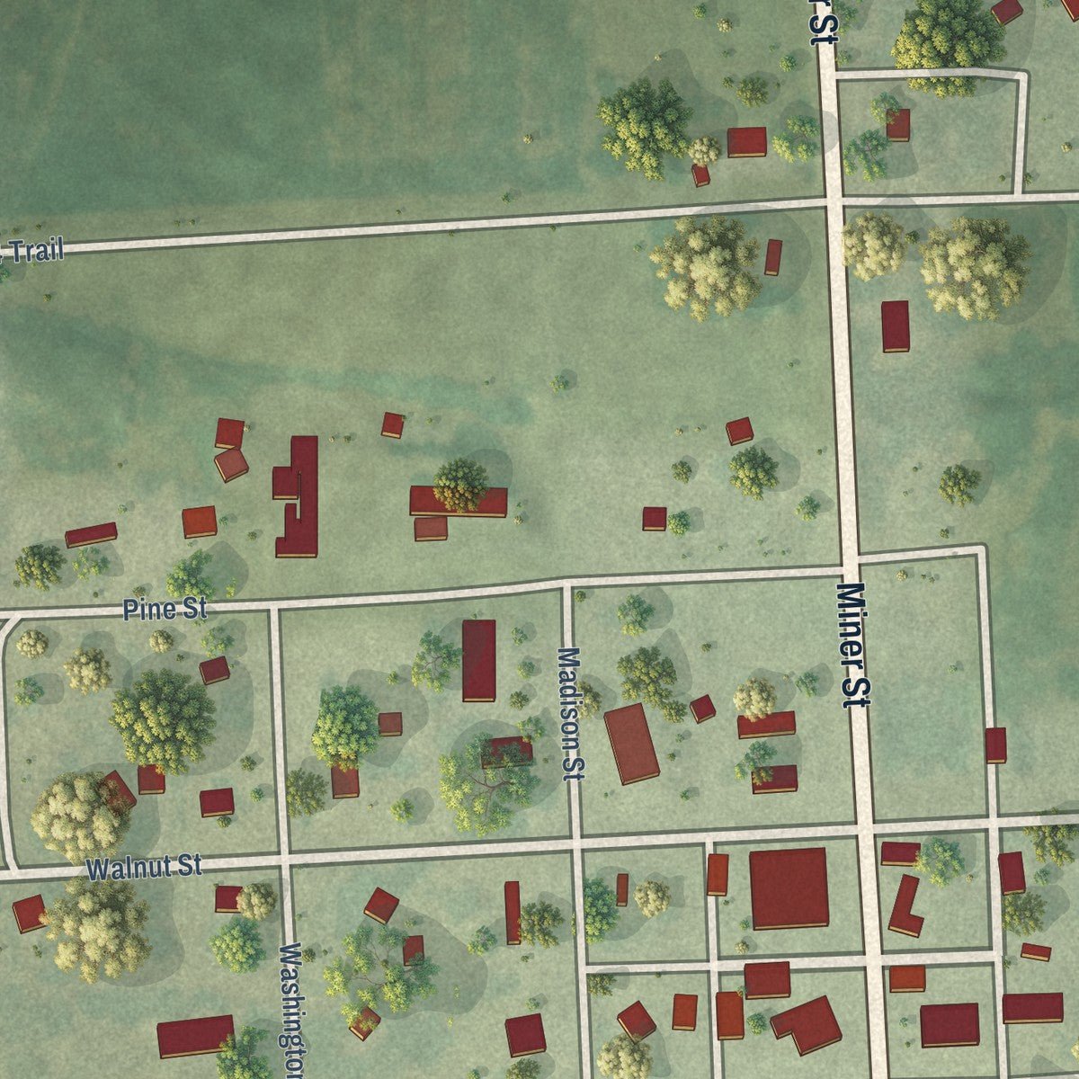 Close-up of the map of Du Bois, Nebraska print showing street and building detail