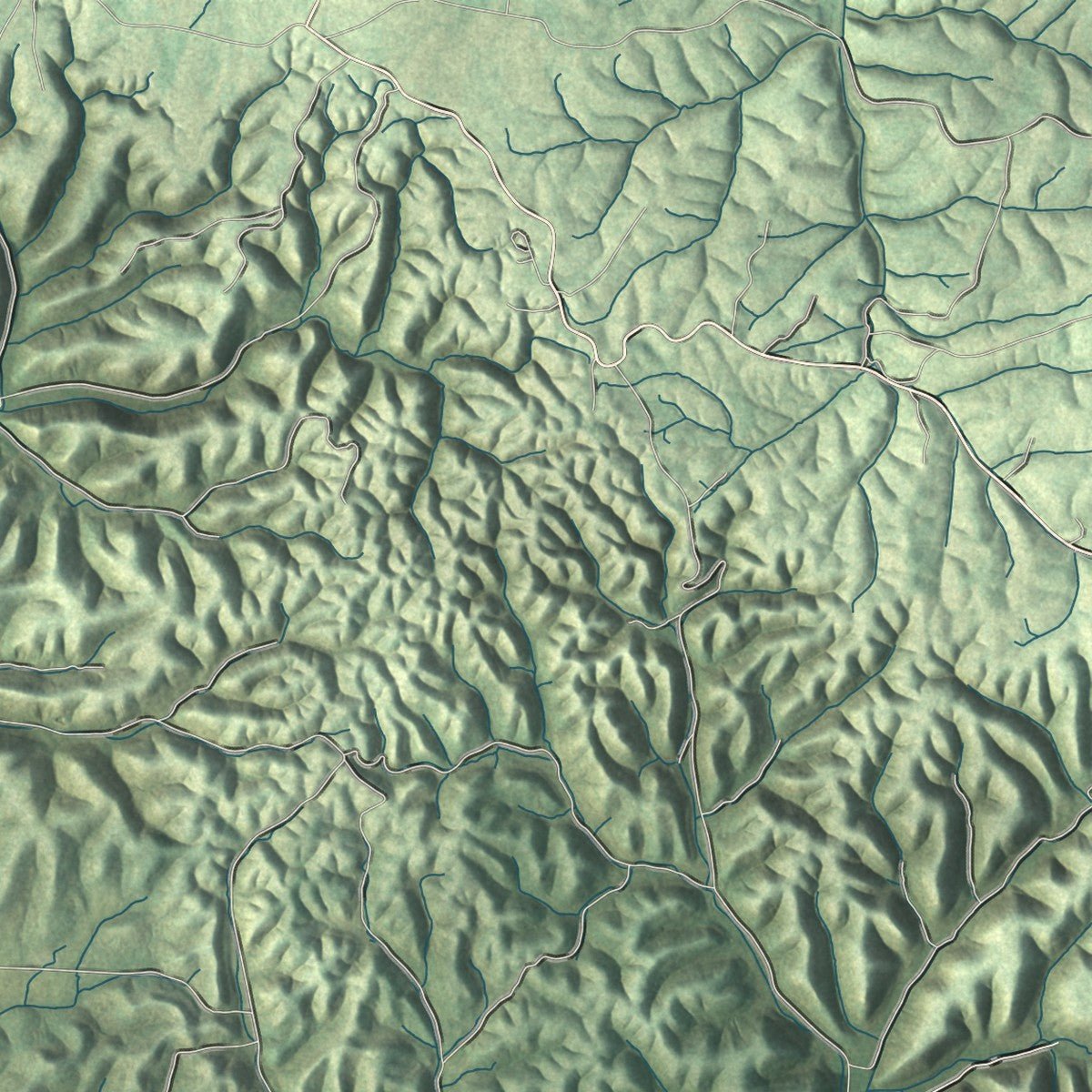 Close-up of the map of Hartsville-Trousdale County, Tennessee print showing street and building detail