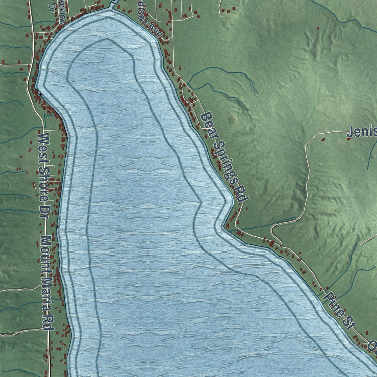 Close-up of the map of Caledonia, Alcona County, Michigan print showing street and building detail