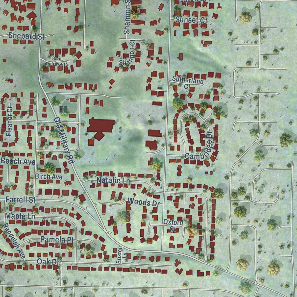 Close-up of the map of Steilacoom, Washington print showing street and building detail