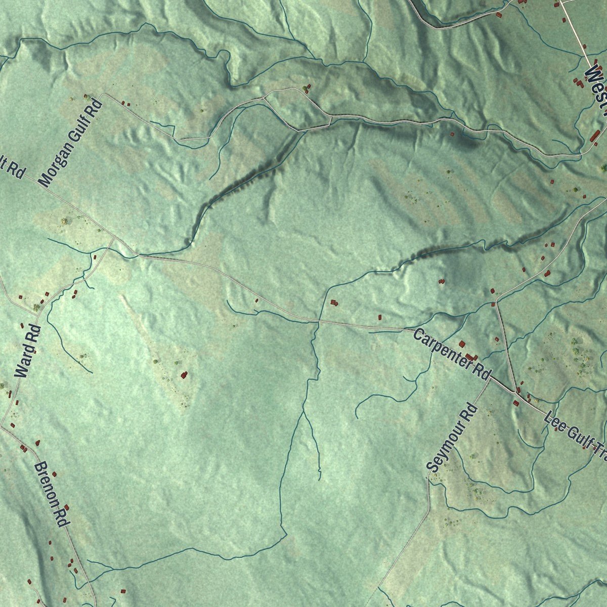 Close-up of the map of Turin, New York print showing street and building detail