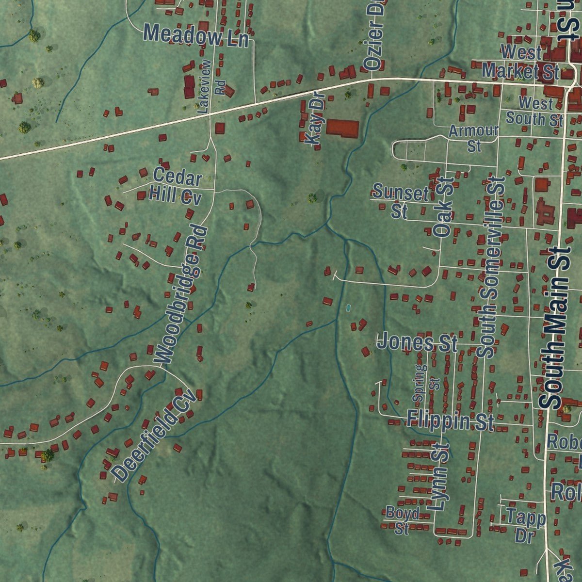 Close-up of the map of Somerville, Tennessee print showing street and building detail