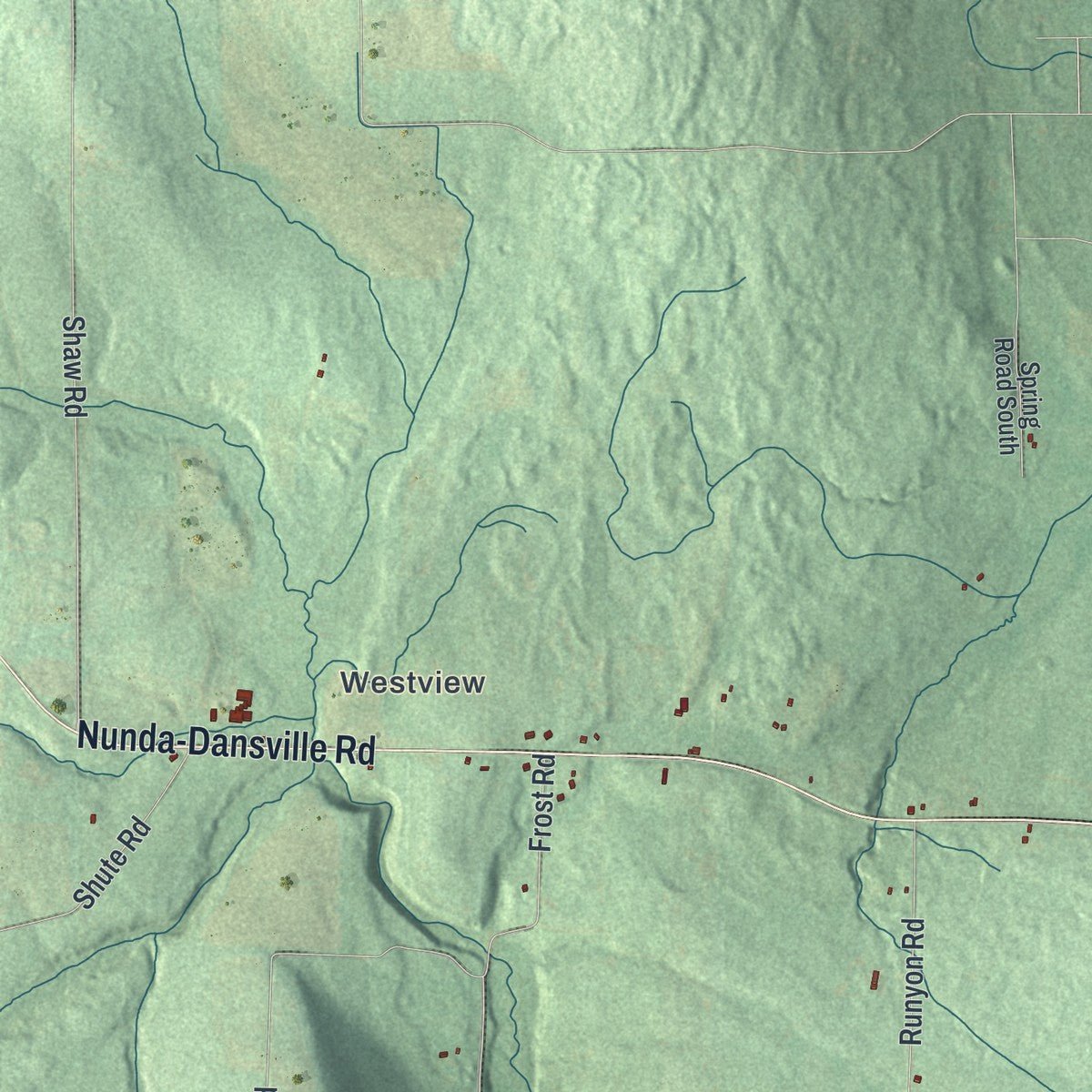 Close-up of the map of Ossian, New York print showing street and building detail