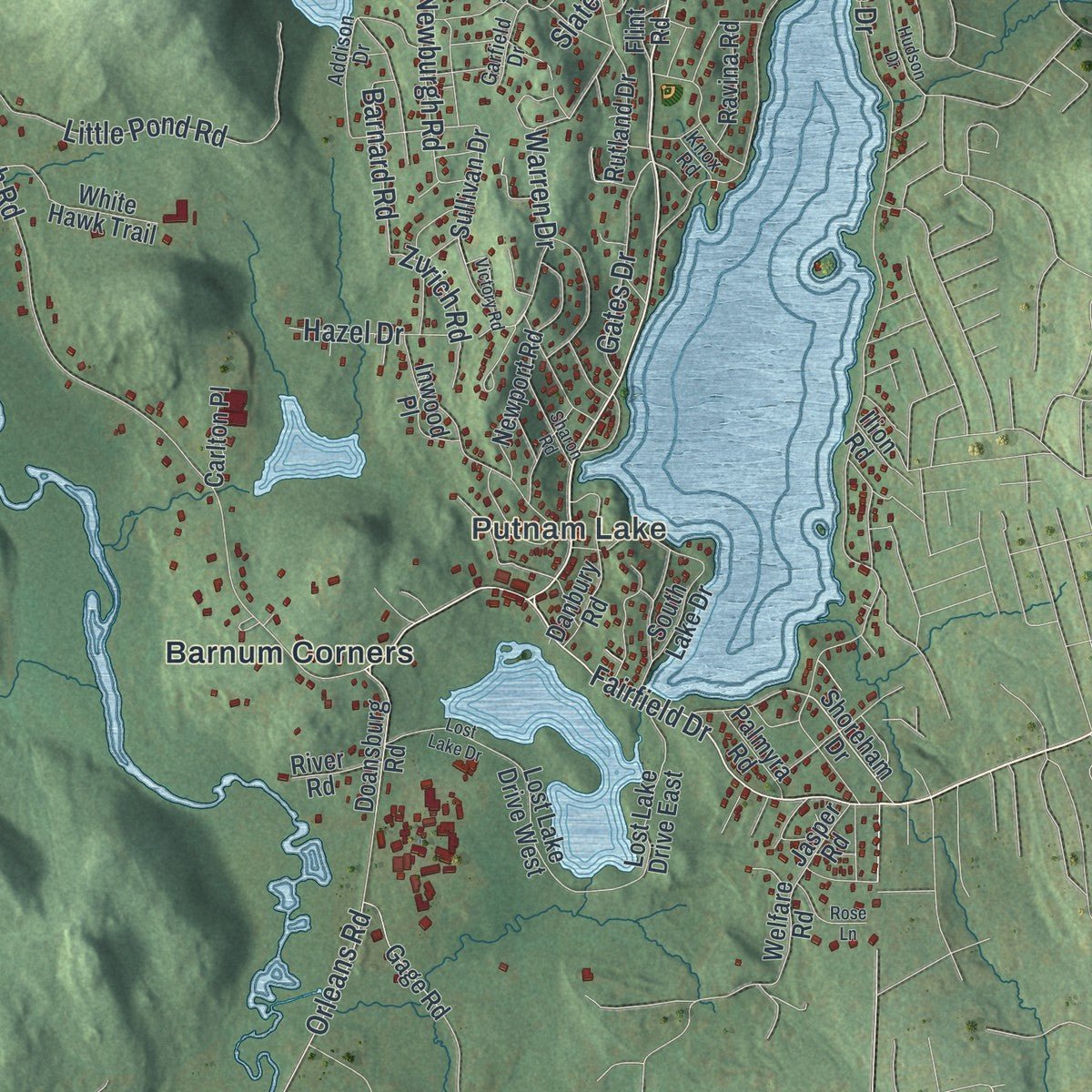 Close-up of the map of Patterson, New York print showing street and building detail