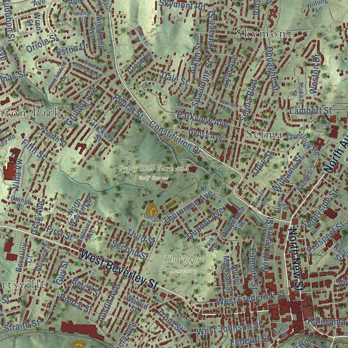 Close-up of the map of Staunton, Virginia print showing street and building detail