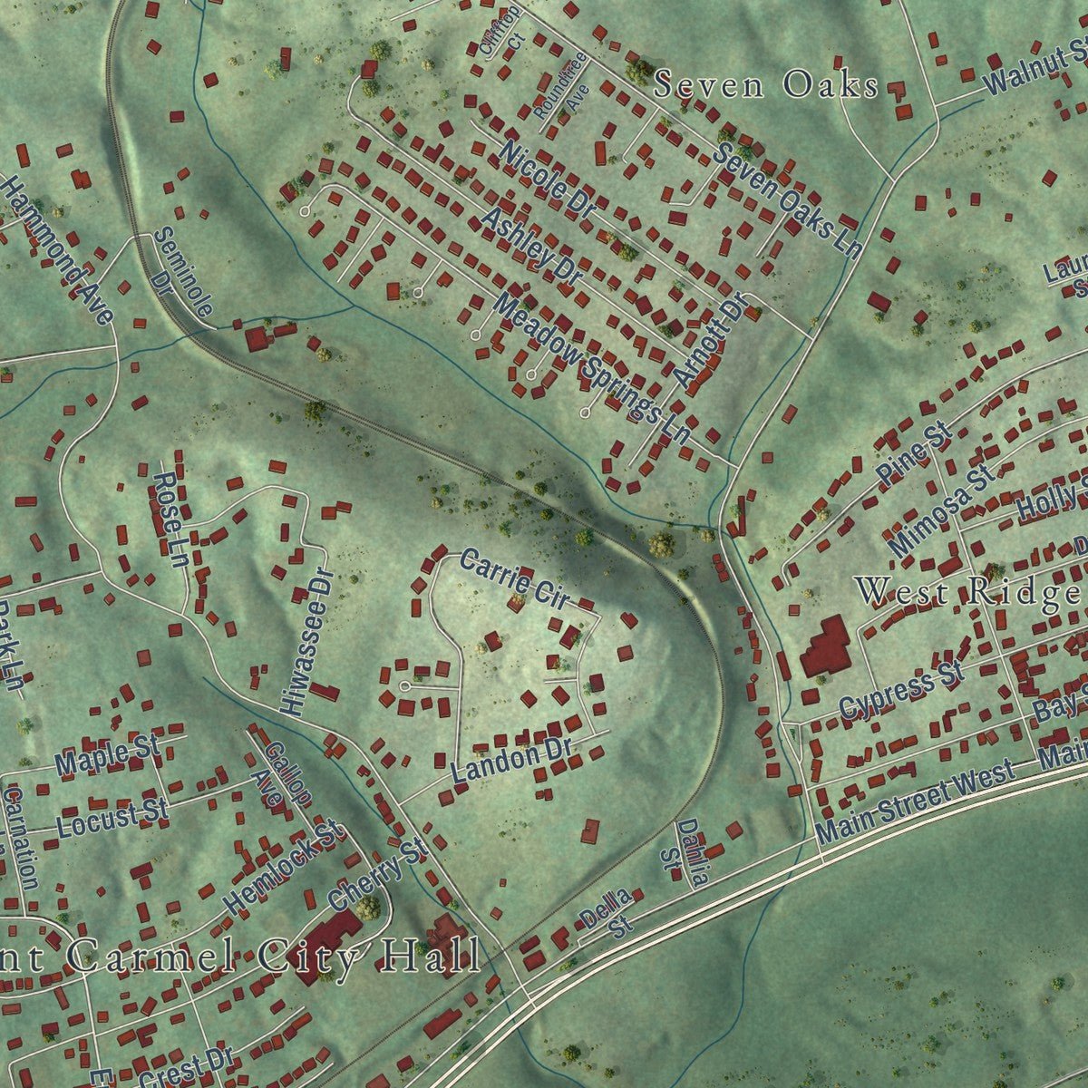 Close-up of the map of Mount Carmel, Tennessee print showing street and building detail