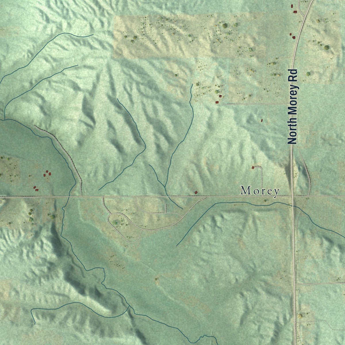 Close-up of the map of Bloomfield, Missaukee County, Michigan print showing street and building detail