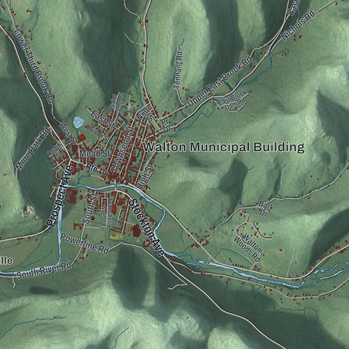 Close-up of the map of the Town of Walton, New York print showing street and building detail