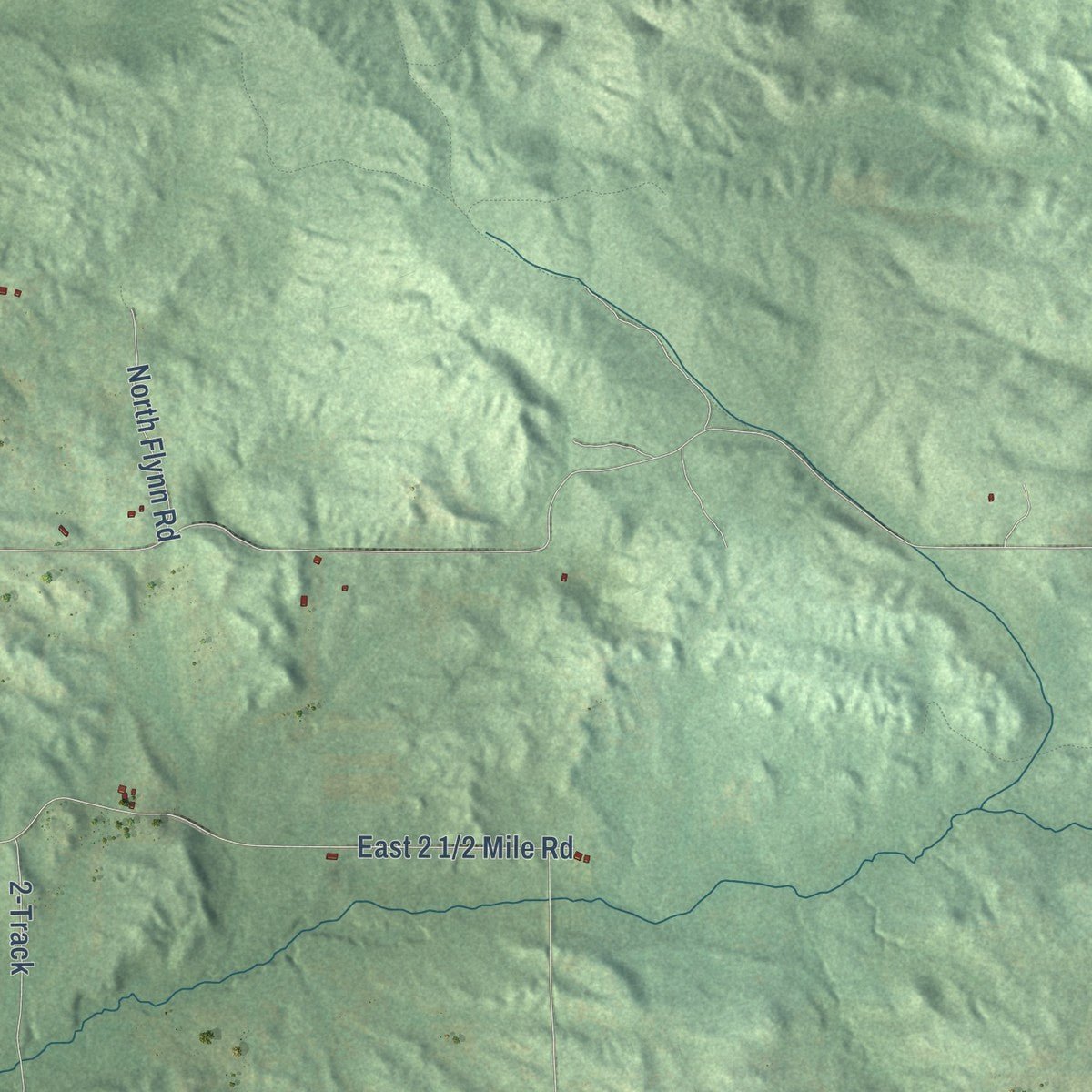 Close-up of the map of Ellsworth, Lake County, Michigan print showing street and building detail