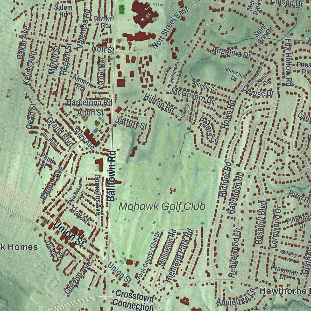 Close-up of the map of Niskayuna, New York print showing street and building detail
