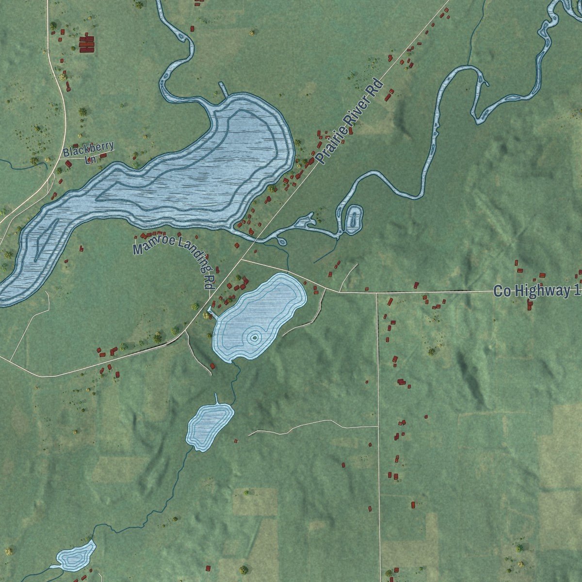 Close-up of the map of Burr Oak, St. Joseph County, Michigan print showing street and building detail