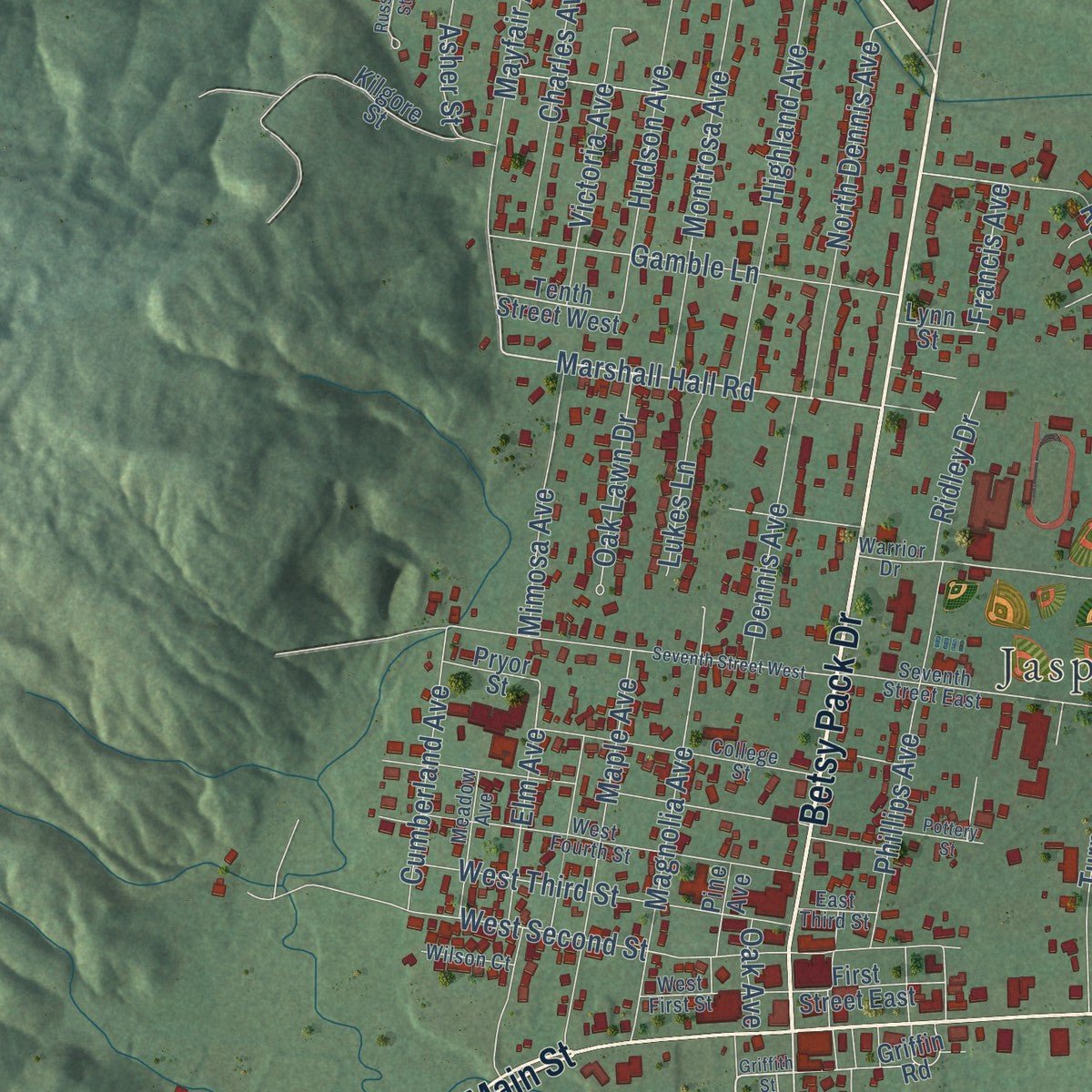 Close-up of the map of Jasper, Tennessee print showing street and building detail
