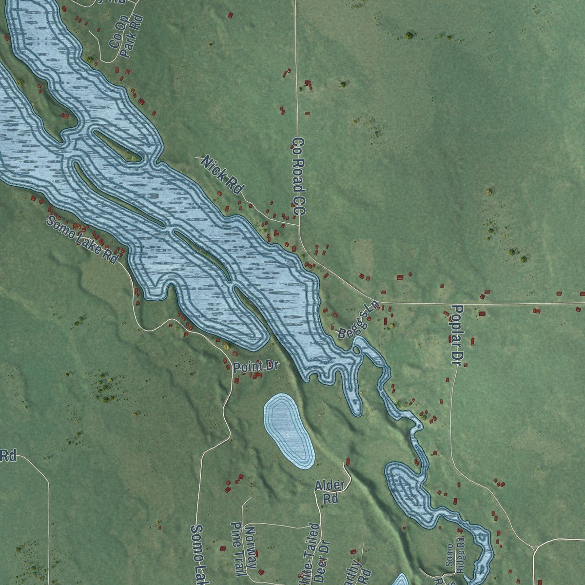 Close-up of the map of Wilson, Lincoln County, Wisconsin print showing street and building detail