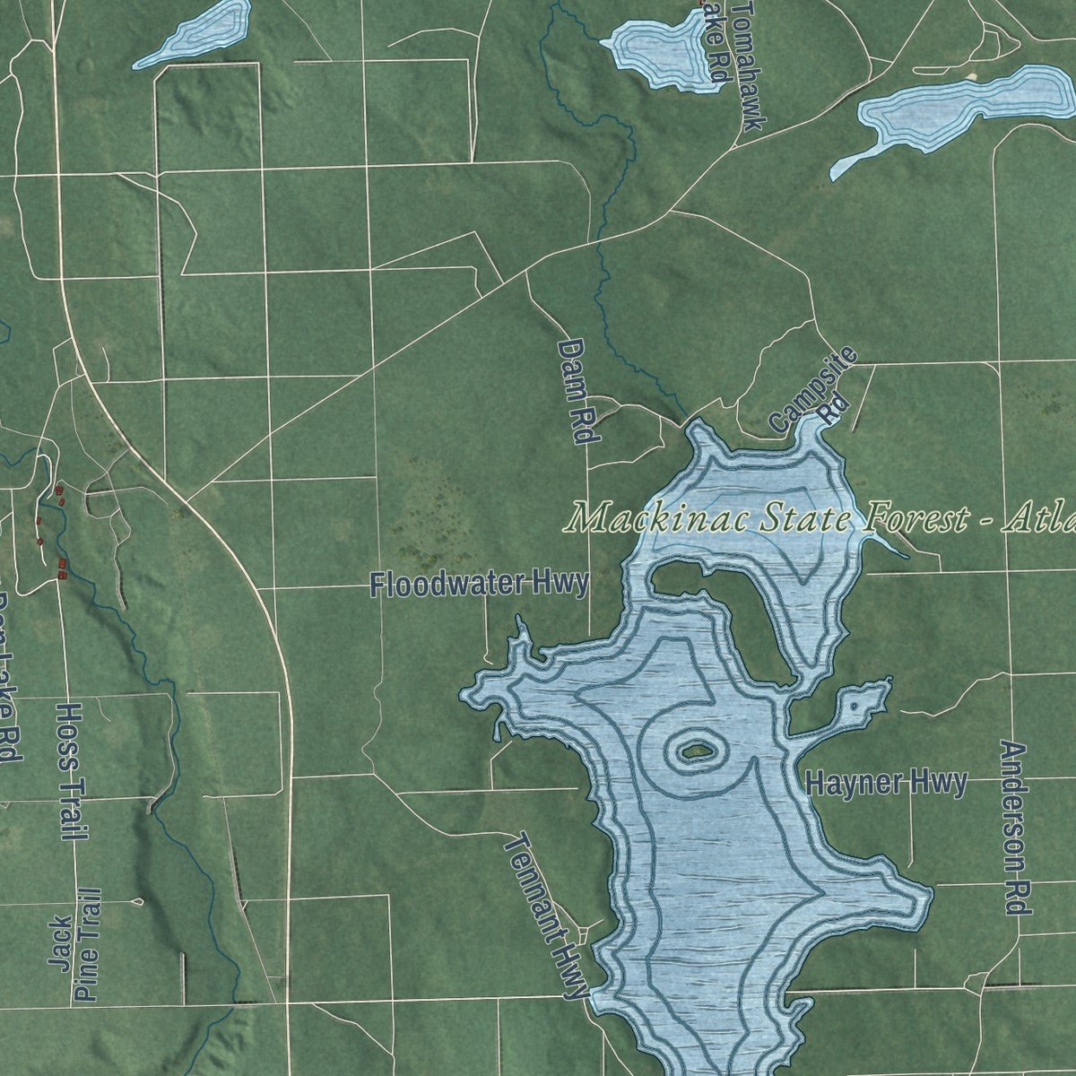 Close-up of the map of Allis, Michigan print showing street and building detail