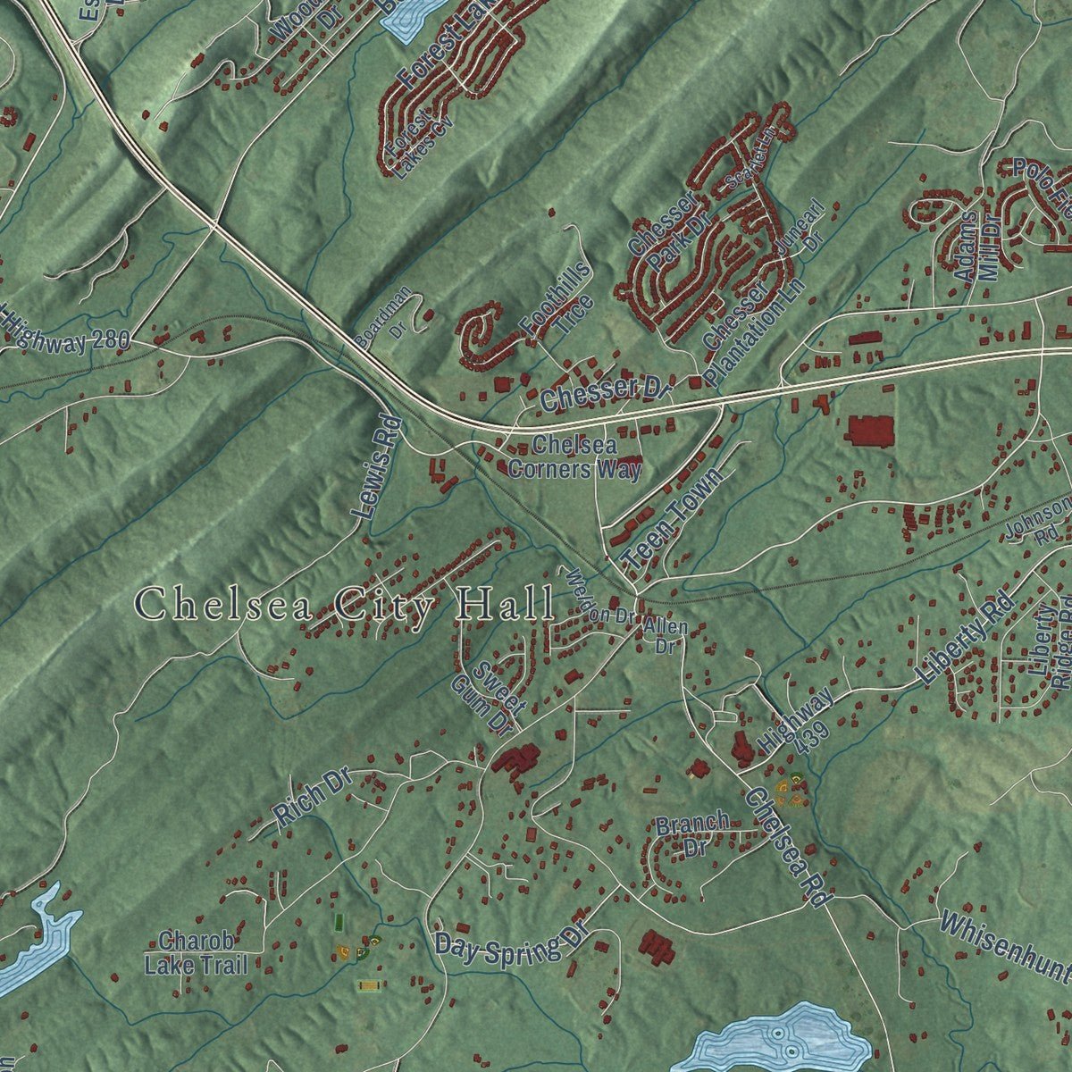 Close-up of the map of Chelsea, Alabama print showing street and building detail