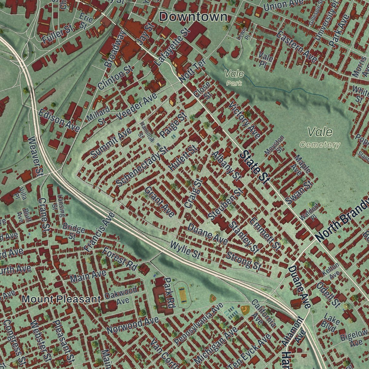 Close-up of the map of Schenectady, New York print showing street and building detail