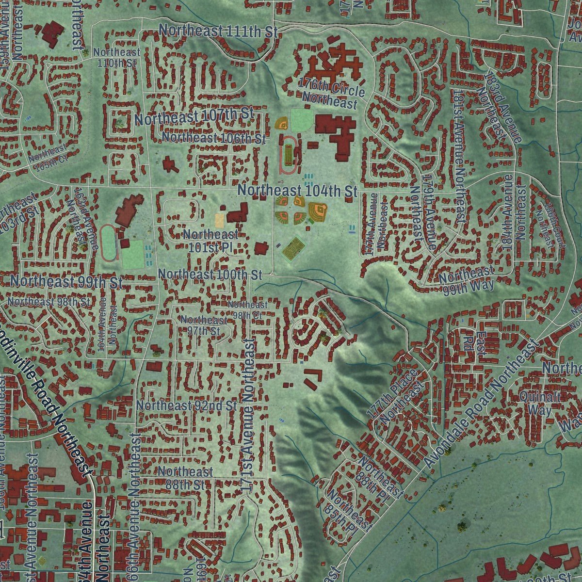 Close-up of the map of Redmond, Washington print showing street and building detail