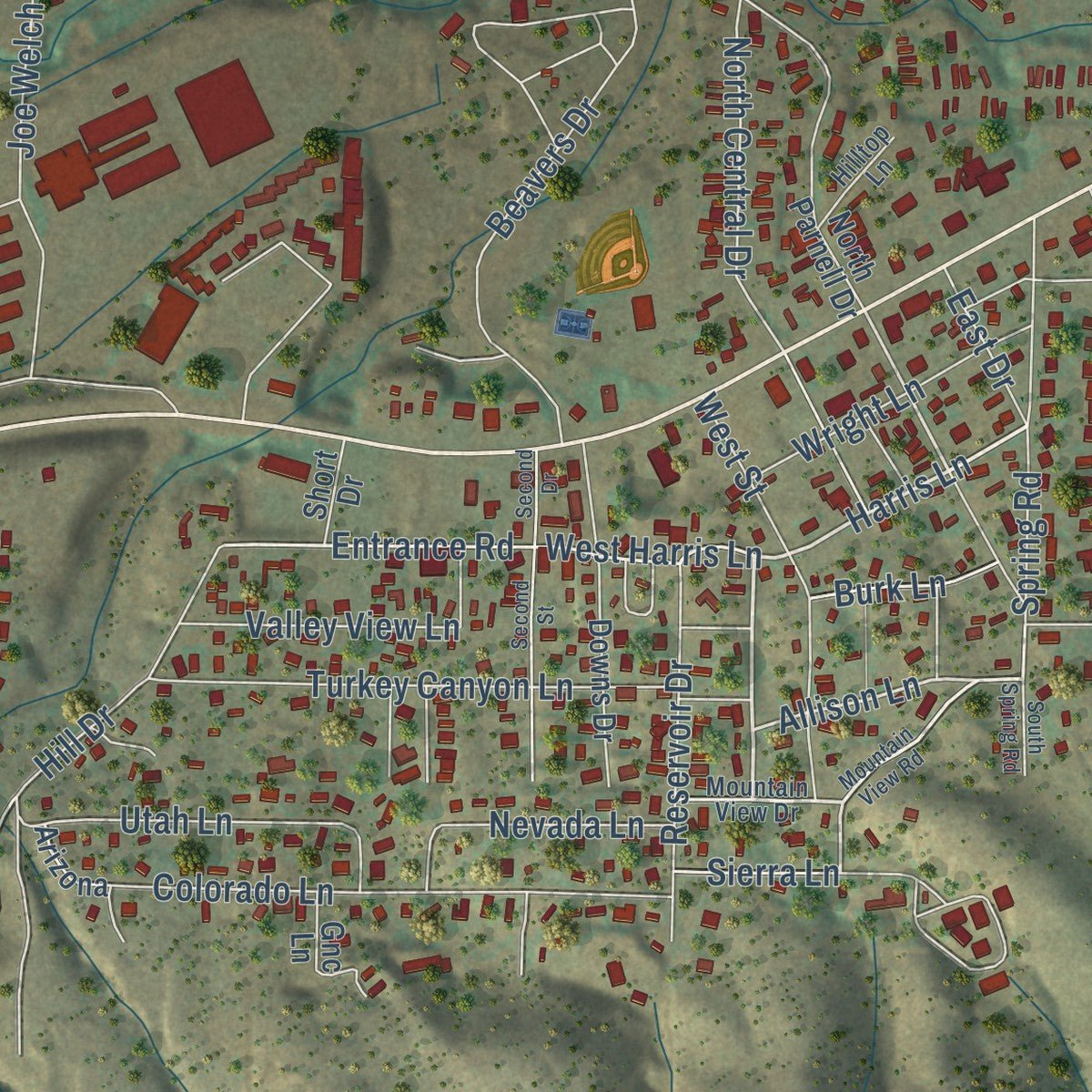 Close-up of the map of Ruidoso Downs, New Mexico print showing street and building detail