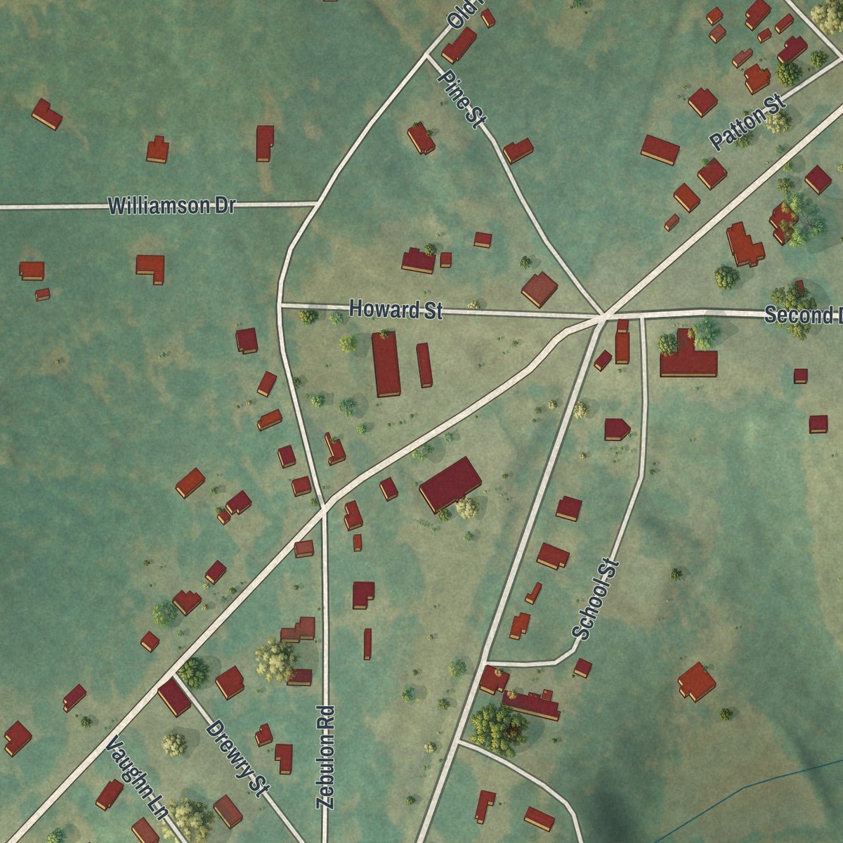 Close-up of the map of Williamson, Georgia print showing street and building detail
