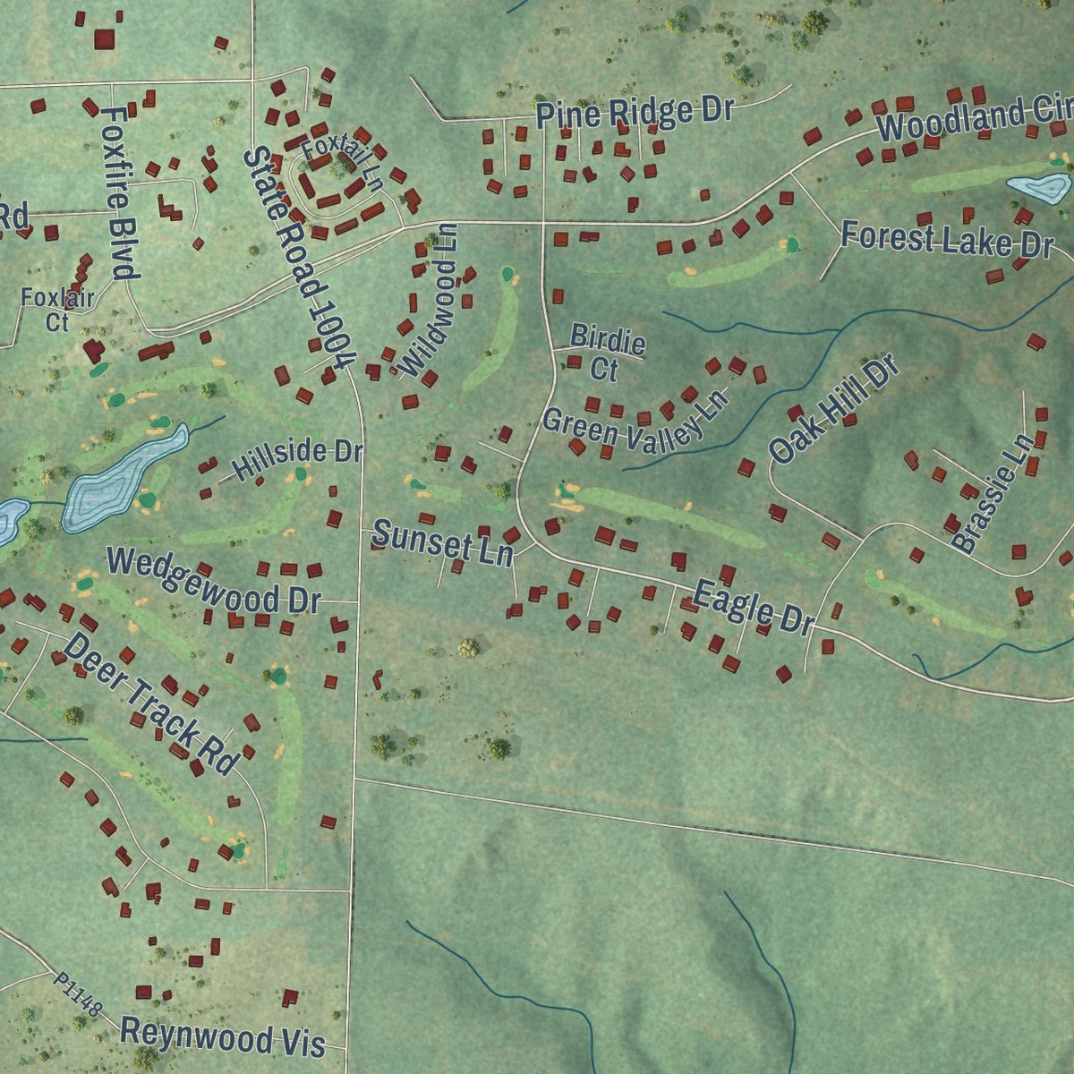 Close-up of the map of Foxfire, North Carolina print showing street and building detail
