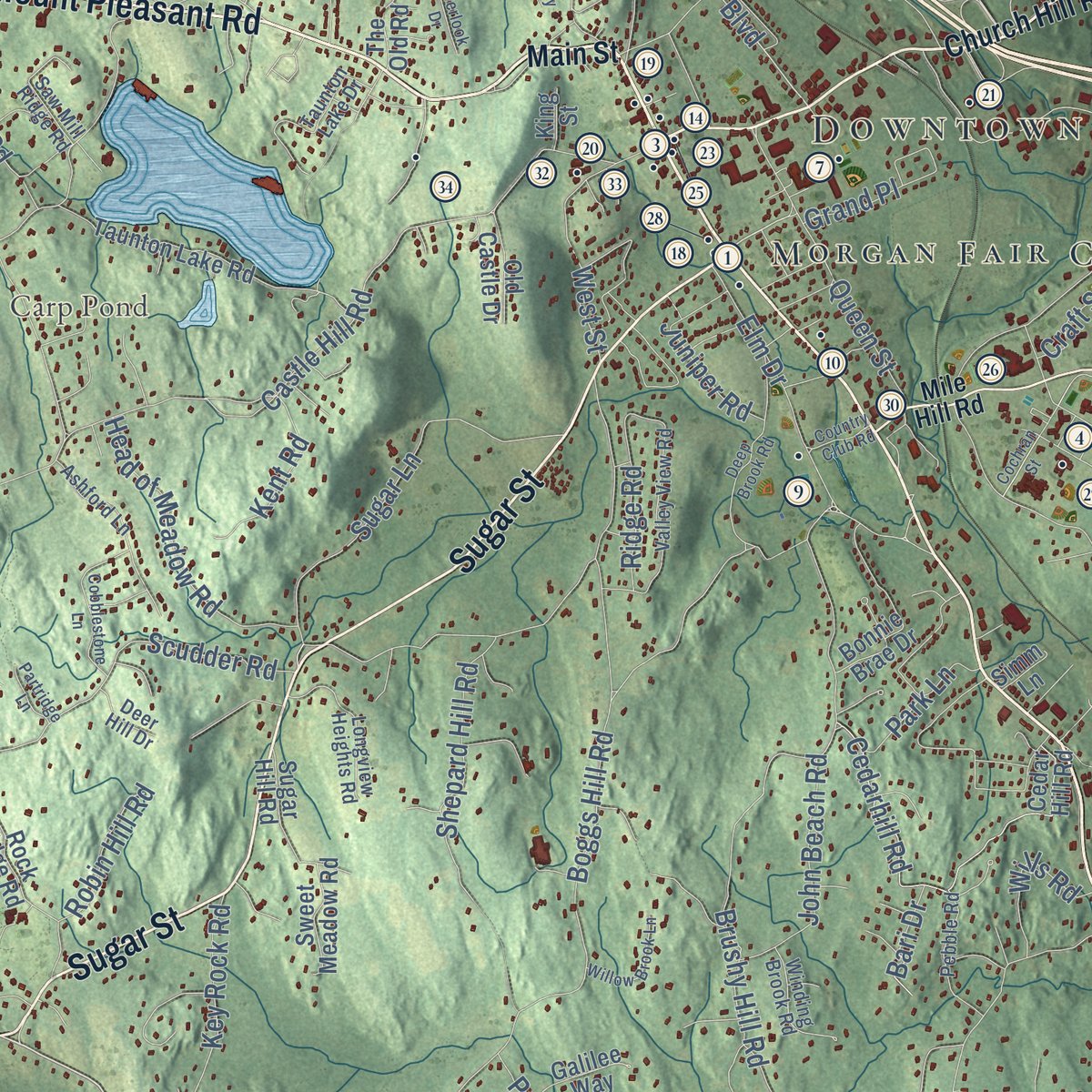 Close-up of the map of Newtown, Connecticut print showing street and building detail