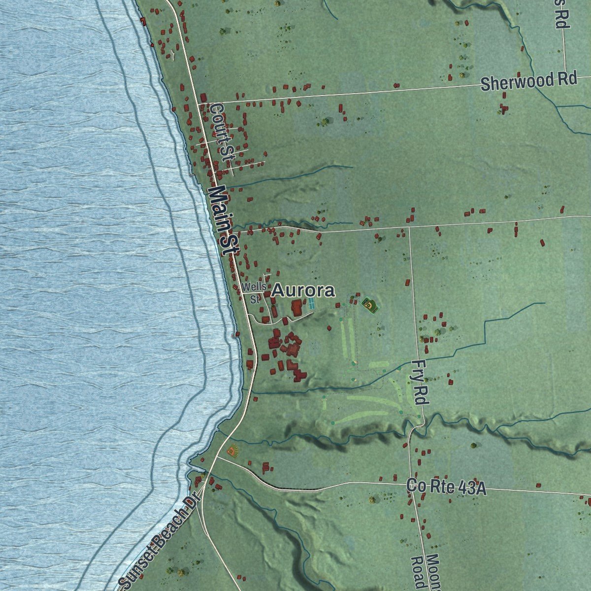 Close-up of the map of Ledyard, New York print showing street and building detail