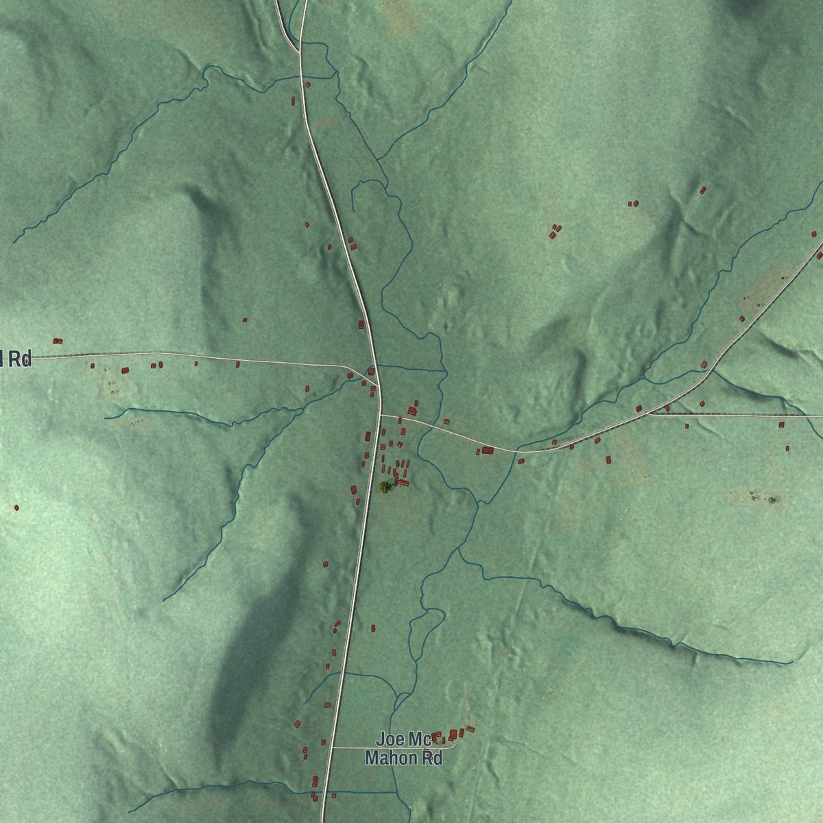 Close-up of the map of Birdsall, New York print showing street and building detail