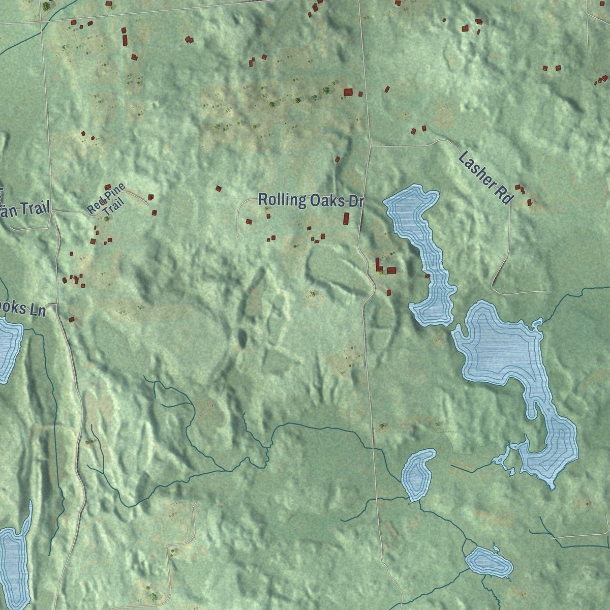 Close-up of the map of Dryden, Lapeer County, Michigan print showing street and building detail