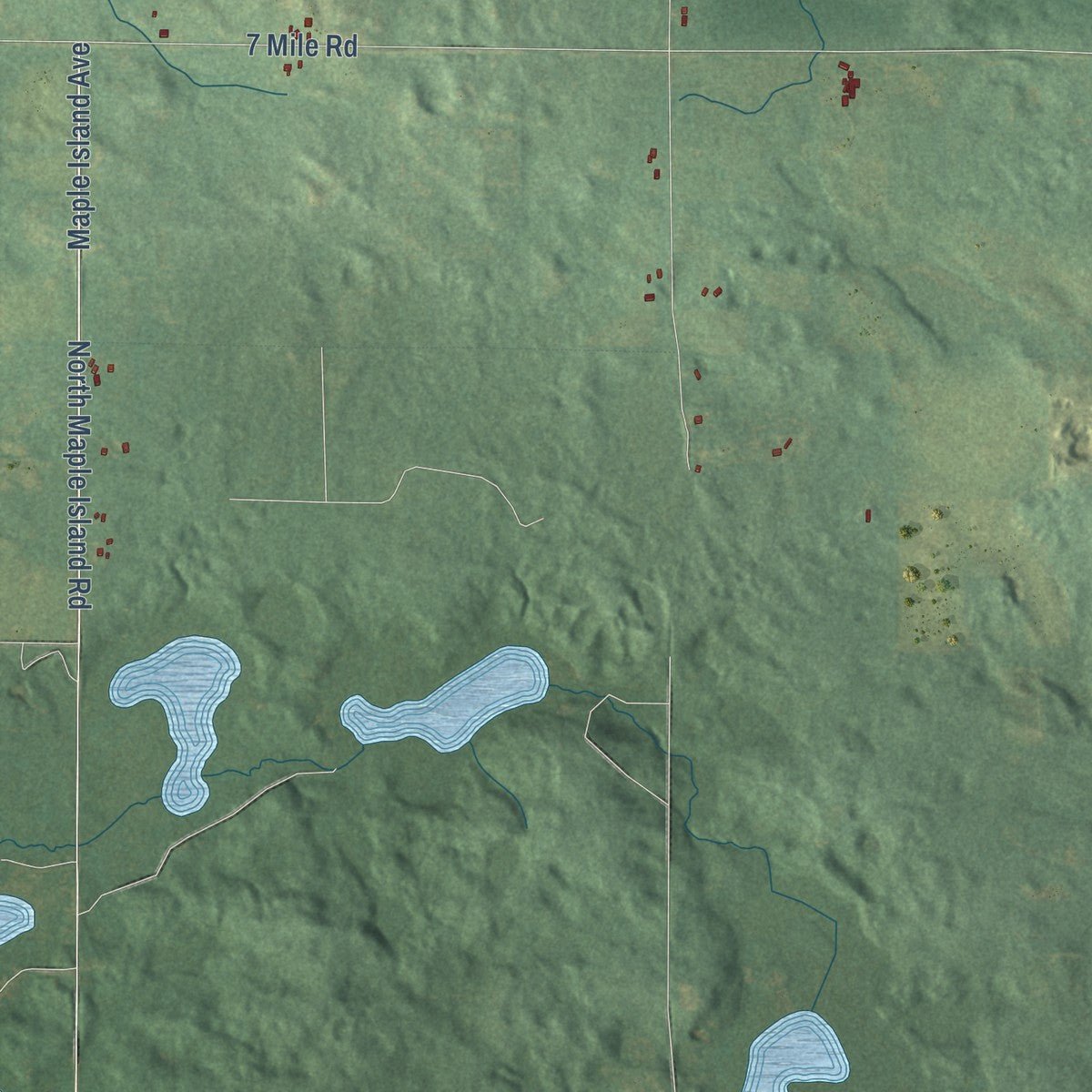 Close-up of the map of Beaver, Newaygo County, Michigan print showing street and building detail