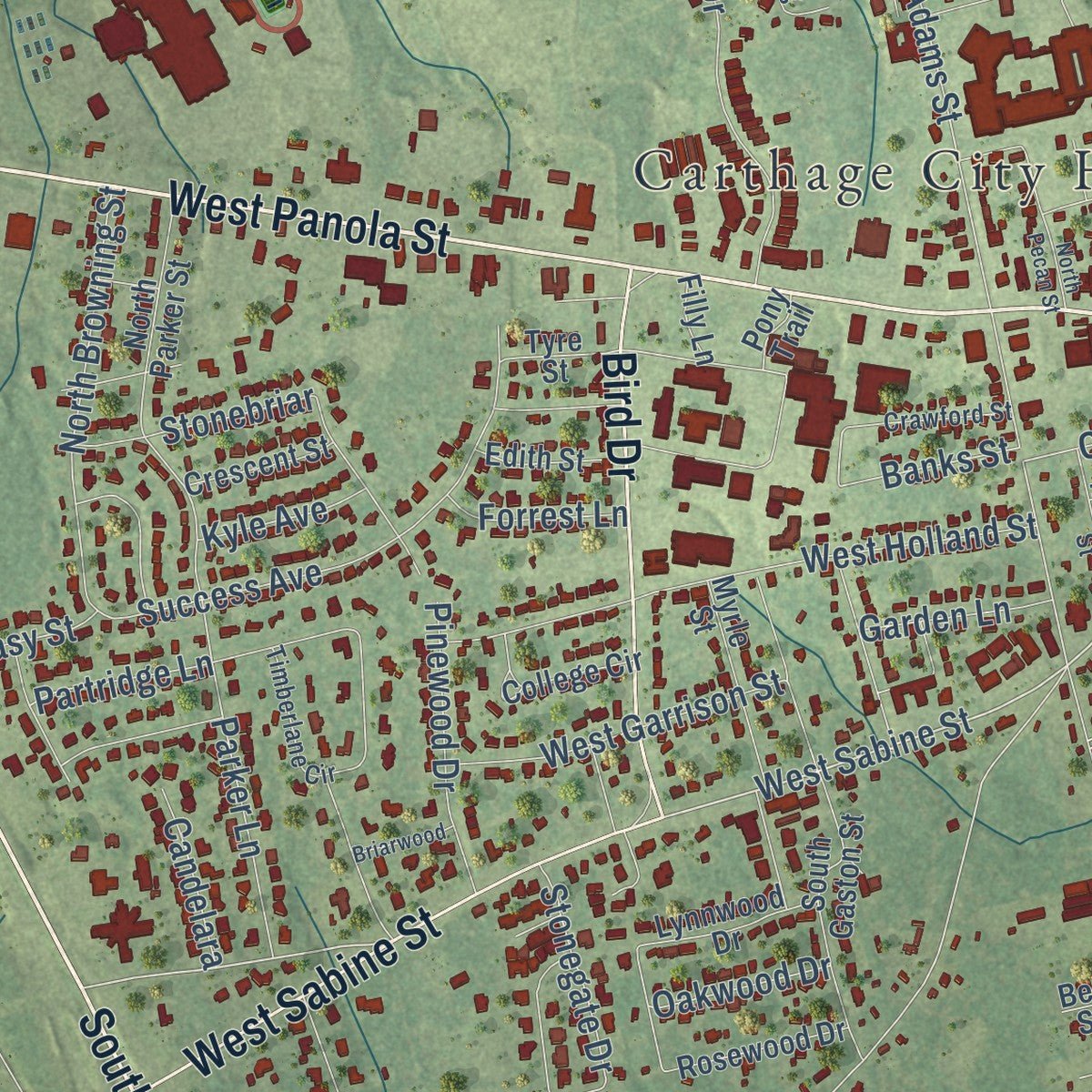 Close-up of the map of Carthage, Texas print showing street and building detail