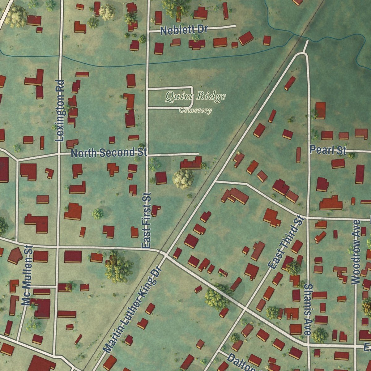 Close-up of the map of Pickens, Mississippi print showing street and building detail