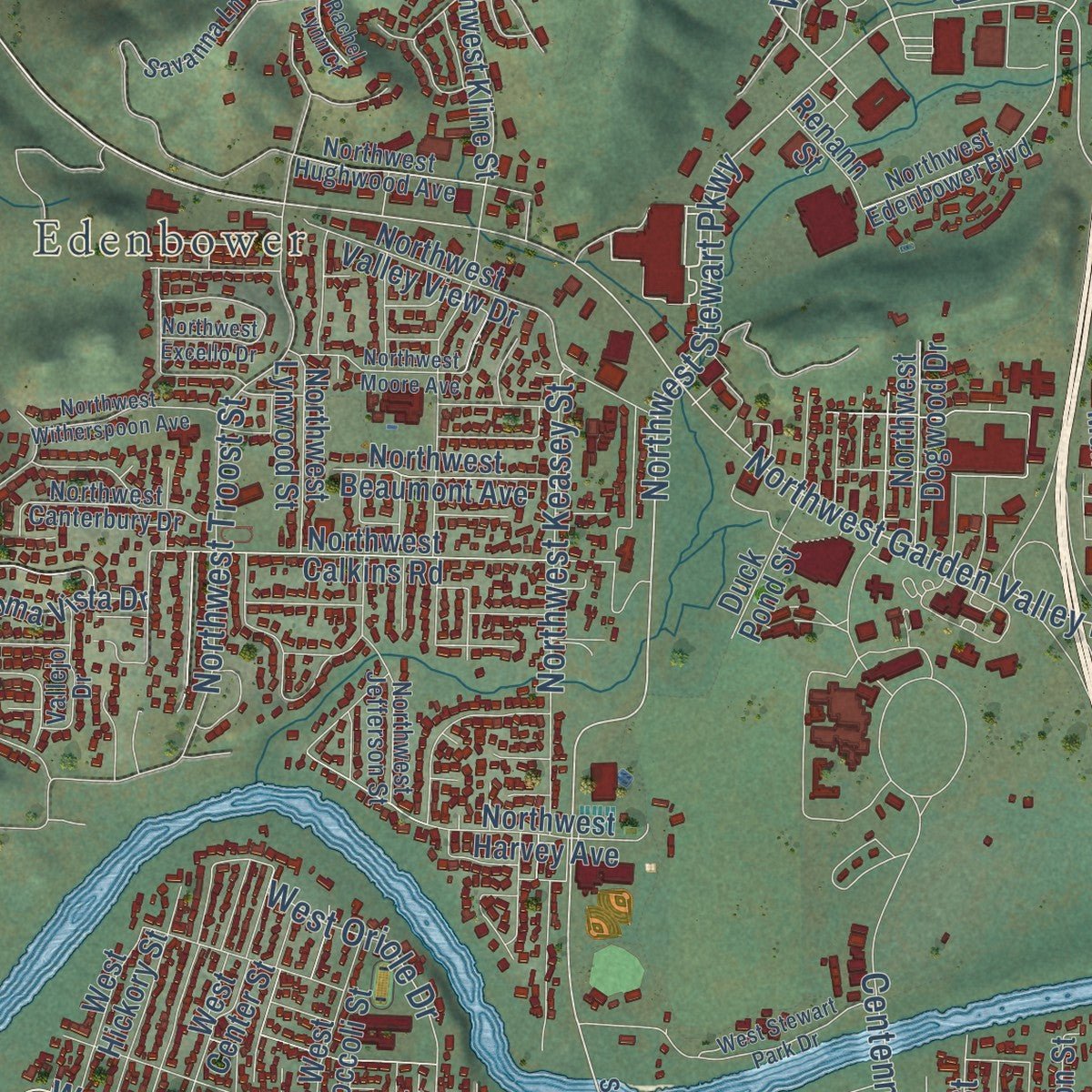 Close-up of the map of Roseburg, Oregon print showing street and building detail