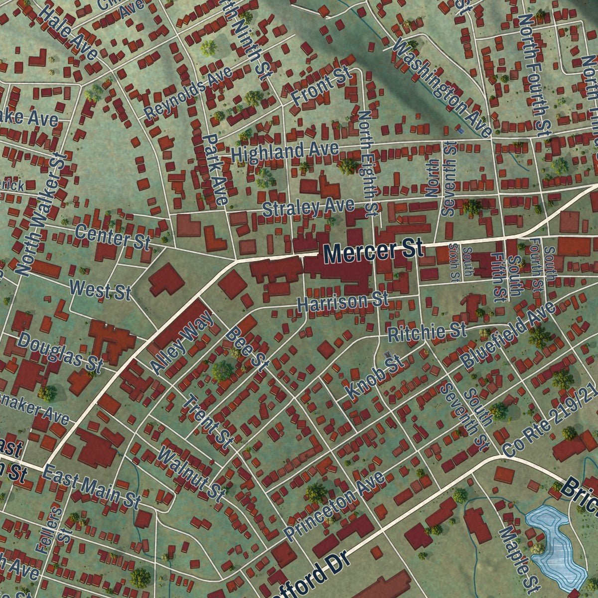 Close-up of the map of Princeton, West Virginia print showing street and building detail