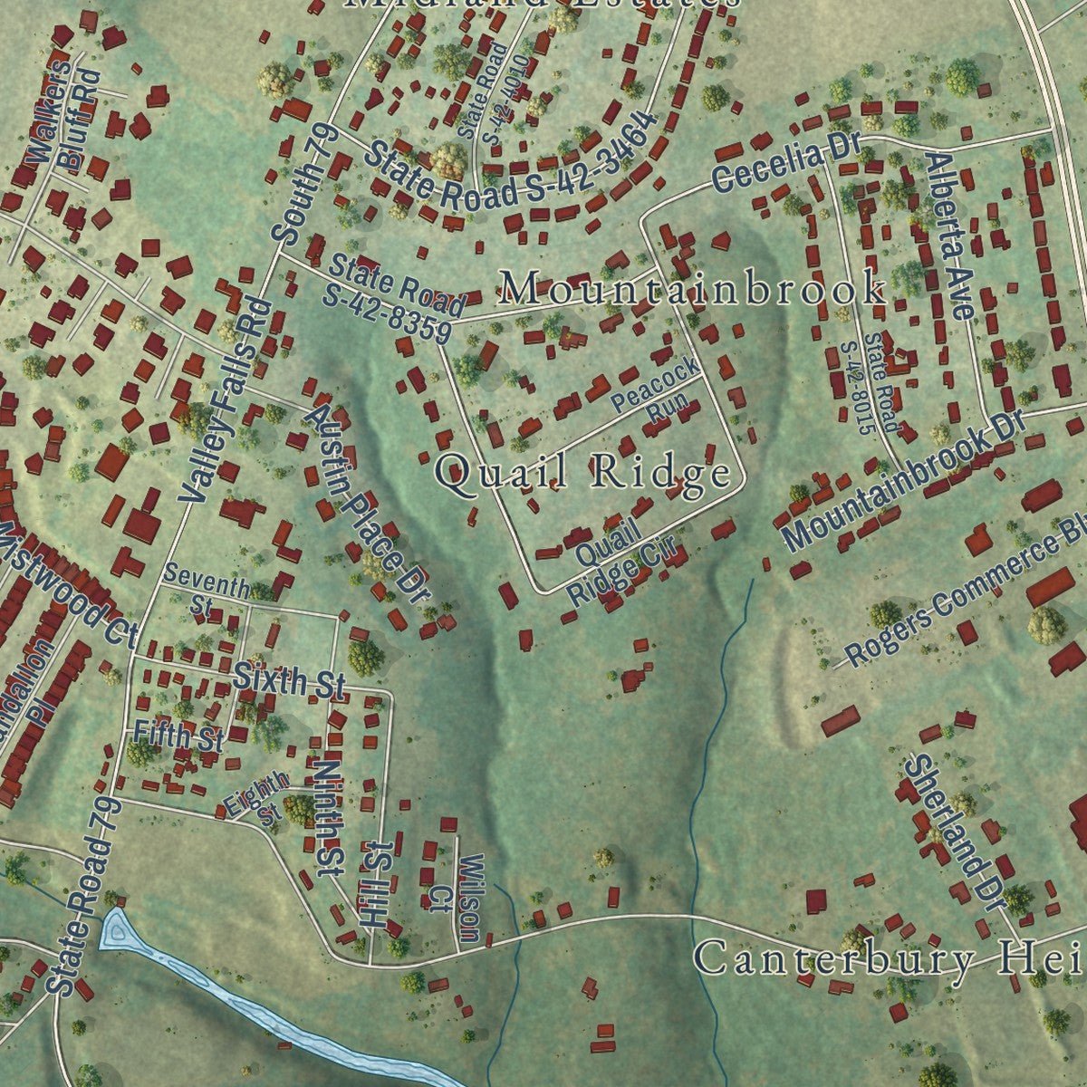 Close-up of the map of Valley Falls, South Carolina print showing street and building detail