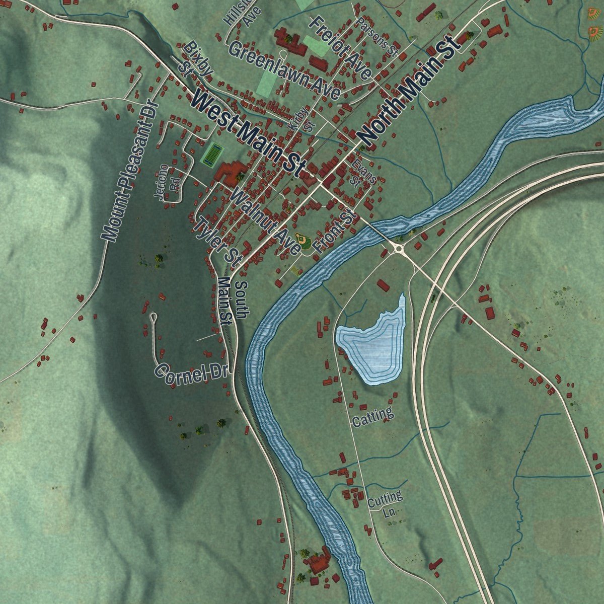 Close-up of the map of Bainbridge, New York print showing street and building detail