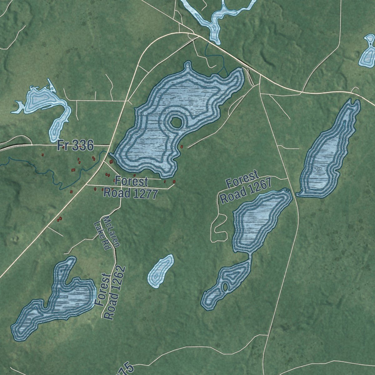 Close-up of the map of Shanagolden, Wisconsin print showing street and building detail