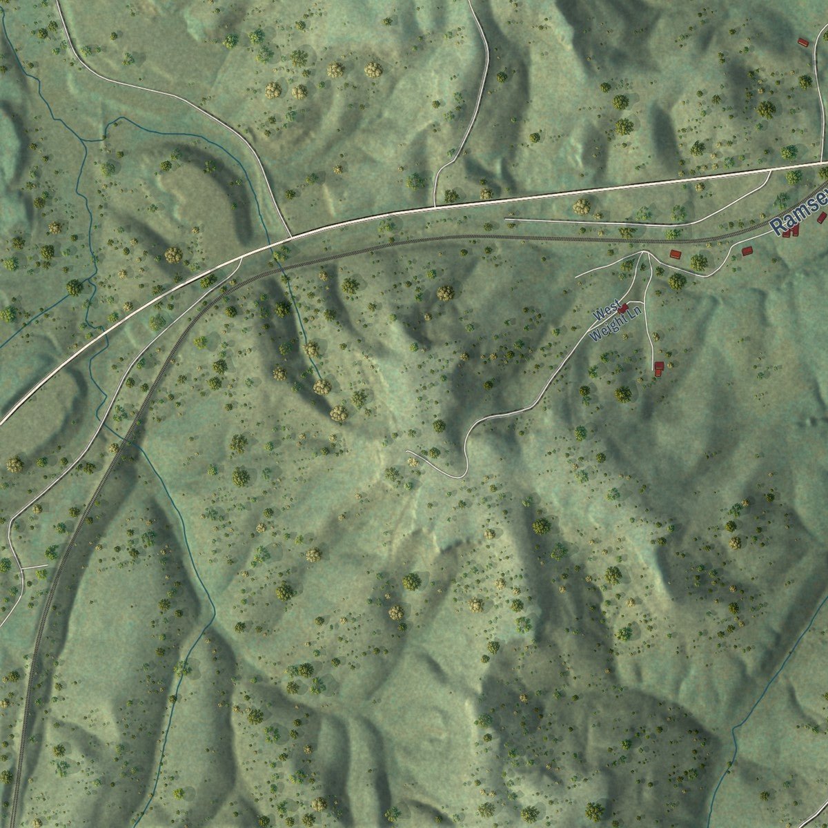 Close-up of the map of Winfield, Tennessee print showing street and building detail