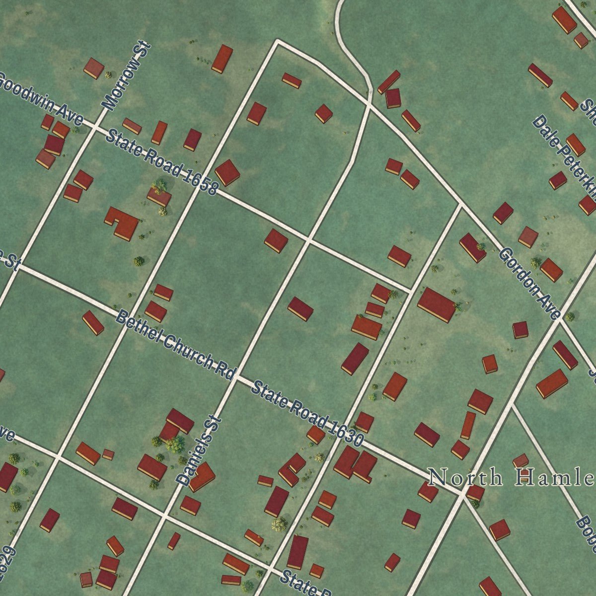 Close-up of the map of Dobbins Heights, North Carolina print showing street and building detail