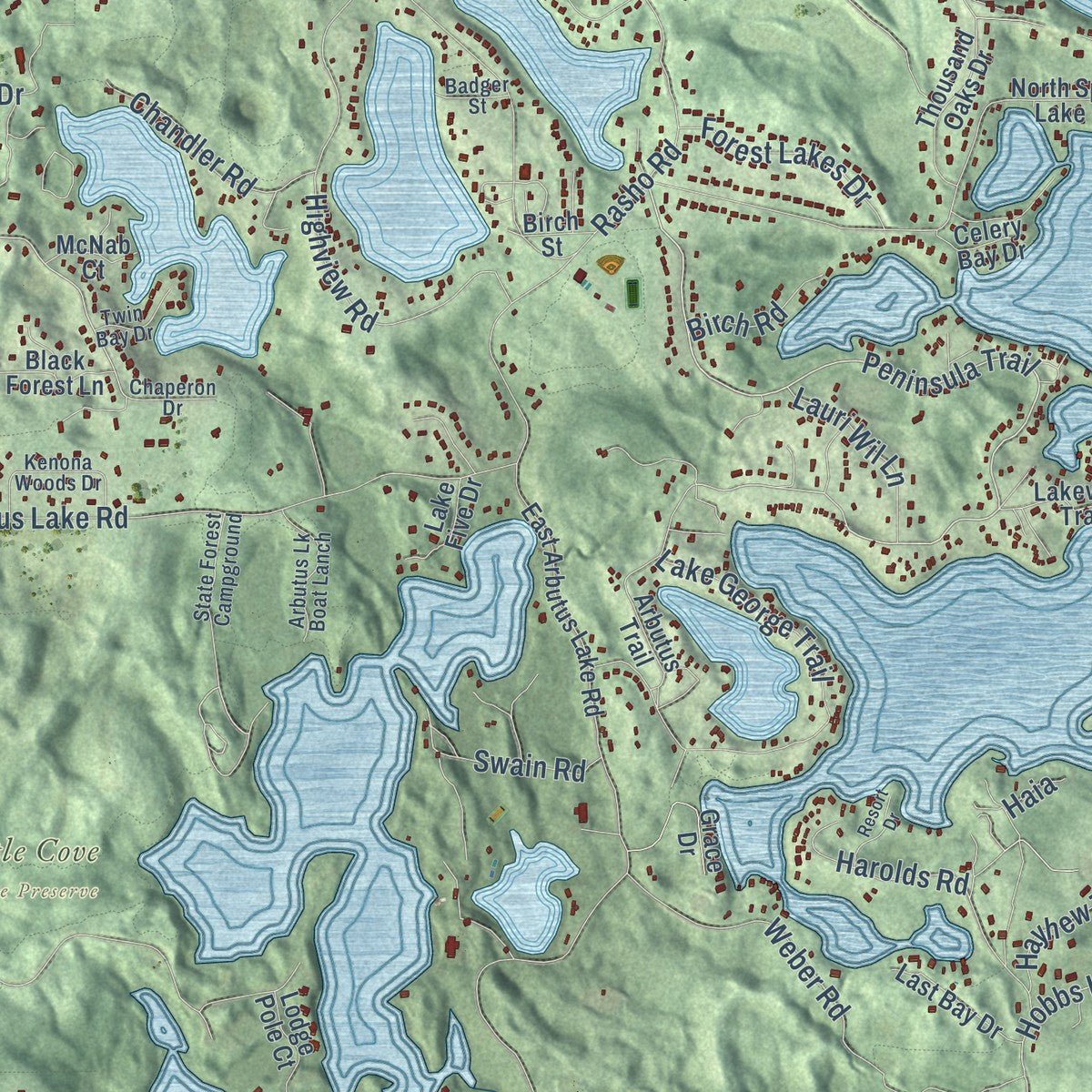 Close-up of the map of East Bay, Michigan print showing street and building detail