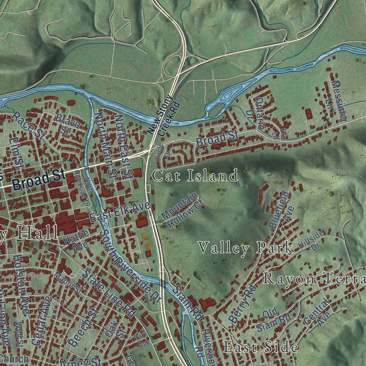 Close-up of the map of Elizabethton, Tennessee print showing street and building detail
