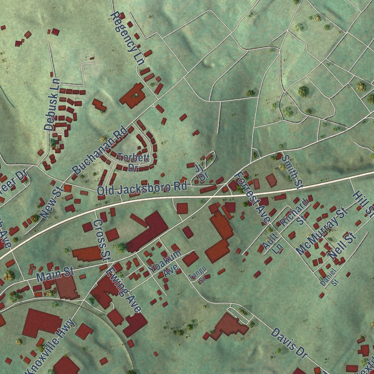 Close-up of the map of New Tazewell, Tennessee print showing street and building detail