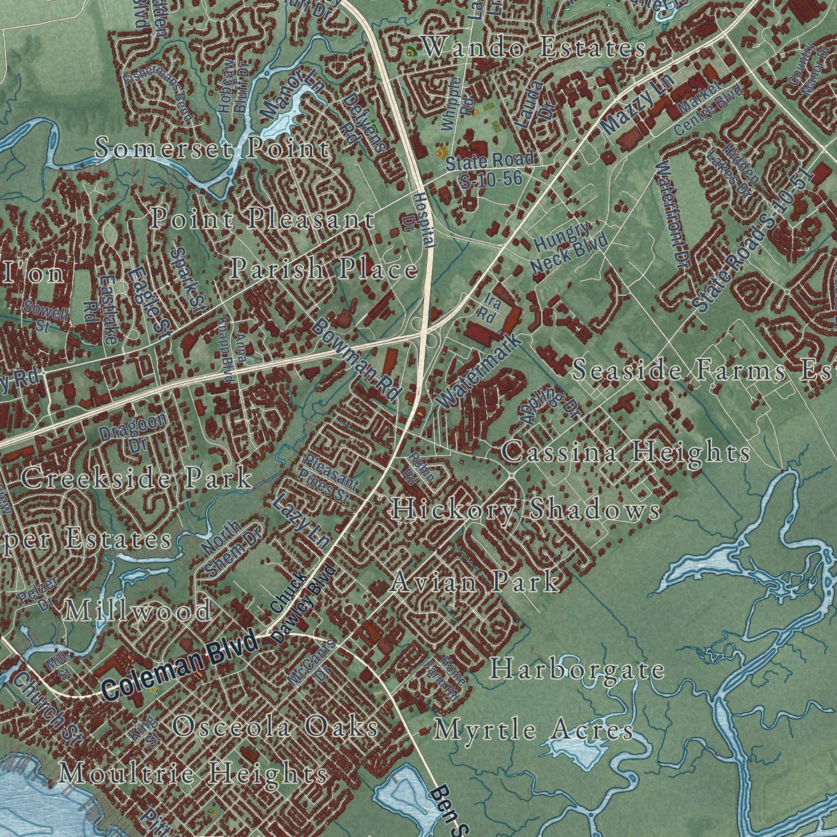 Close-up of the map of Mount Pleasant, South Carolina print showing street and building detail