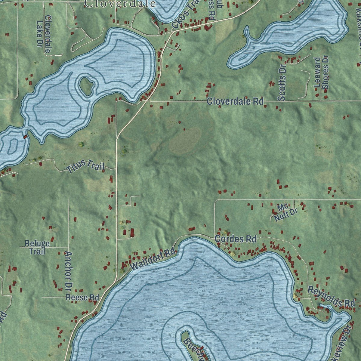 Close-up of the map of Hope, Barry County, Michigan print showing street and building detail