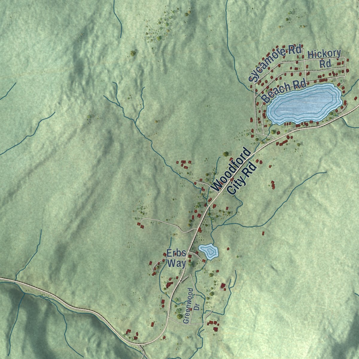 Close-up of the map of Woodford, Vermont print showing street and building detail