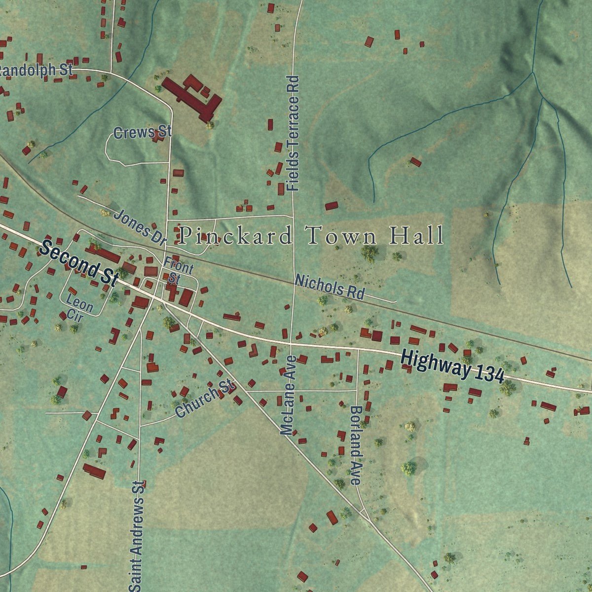 Close-up of the map of Pinckard, Alabama print showing street and building detail