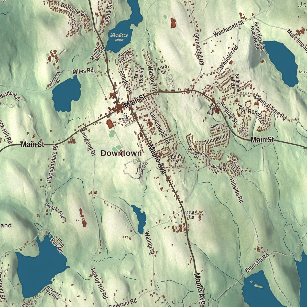 Close-up of the map of Rutland, Massachusetts print showing streets and neighborhoods